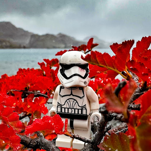 March 28, 2023 - IMG_4344_jpg Copy